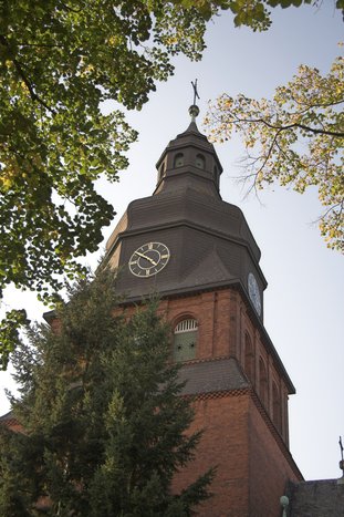 03-30023.jpg