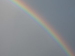 Regenbogen